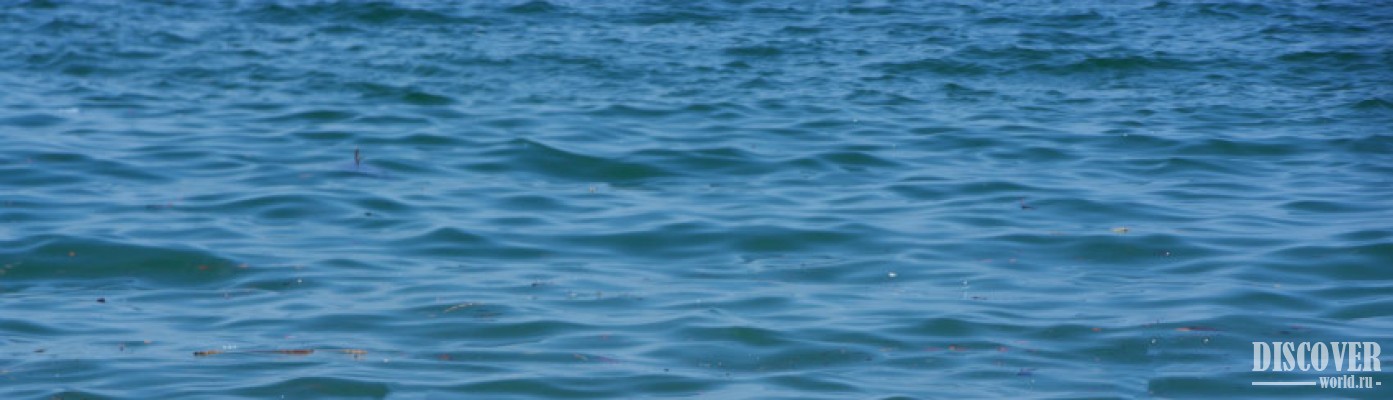 Можно увидеть, что в воде плавают палки и различный мусор