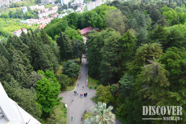 Вид на часть парка с верхней станции