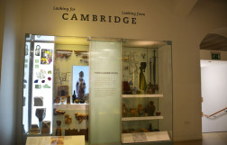 Музей археологии и антропологии в Кембридже