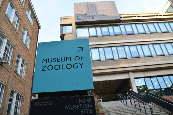 Зоологический музей Кембриджского университета