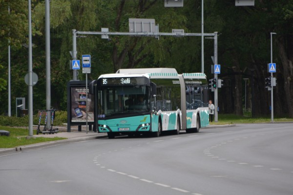 Общественный транспорт Таллина